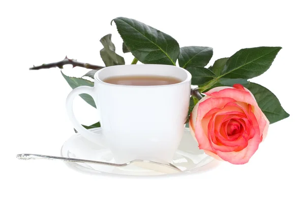 Piros fehér rózsa és a csésze tea — Stock Fotó