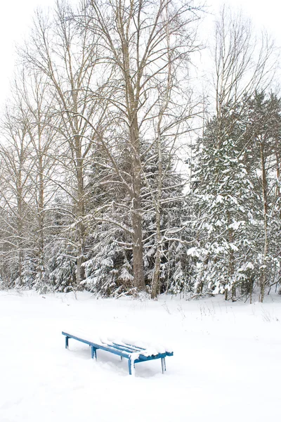 Einsam schneebedecktes Bankett — Stockfoto
