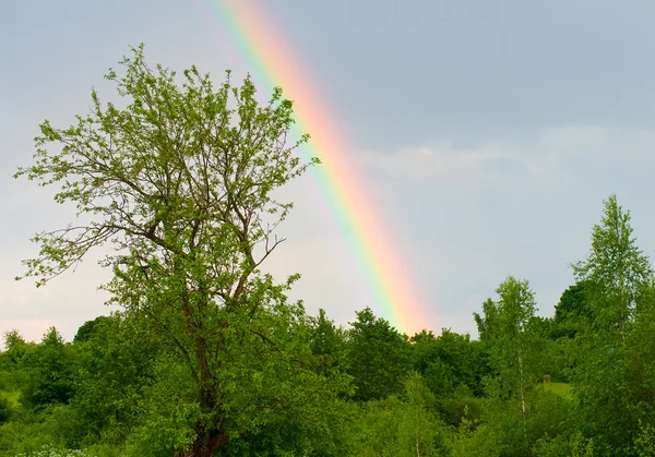 Arco-íris contra um céu azul depois da chuva — Fotografia de Stock