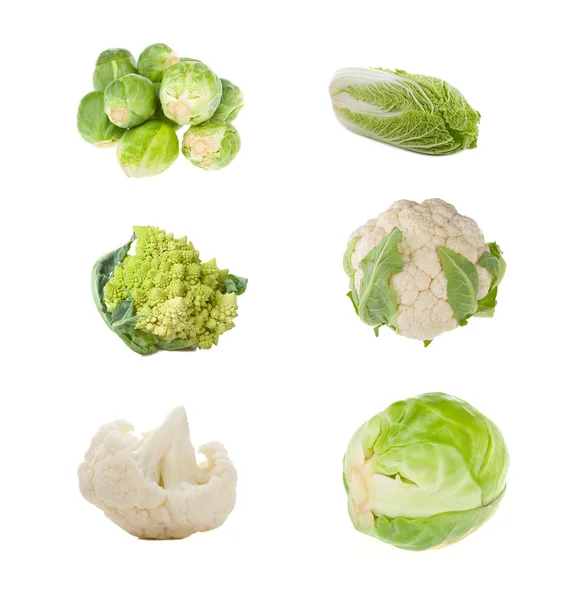 Set of different sorts of cabbage — Stock Photo, Image