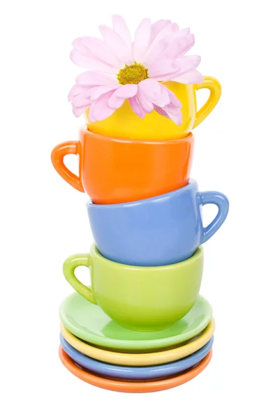 Quatre tasses multicolores et fleur — Photo