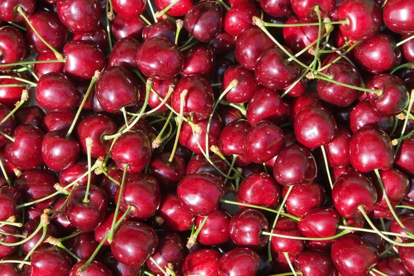 Stock image Red cherry background