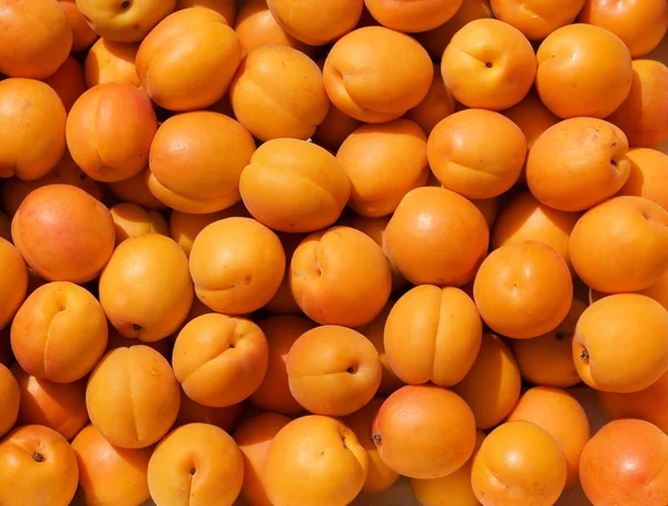 Orange fond abricot — Photo