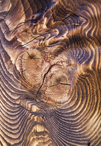 タールの木造の構造 — ストック写真