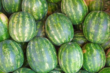 Watermelons clipart