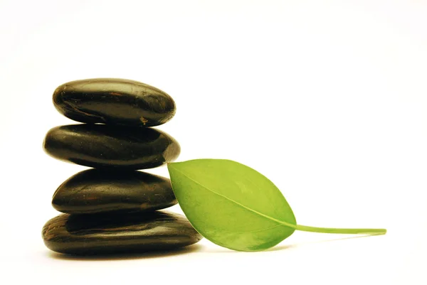 Spa stenen met groen blad — Stockfoto