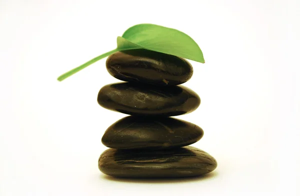 Spa stenen met groen blad — Stockfoto