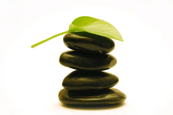 Spa stones with green leaf Stock Picture