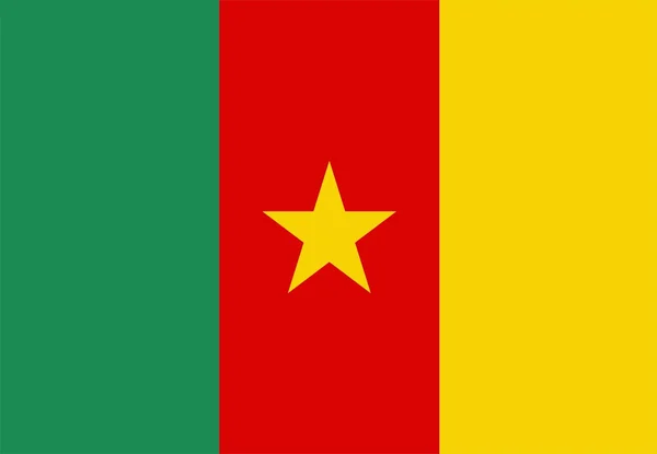 Kamerun zászló — Stock Fotó