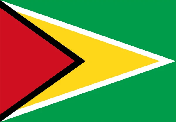 Guyana-Flagge — Stockfoto