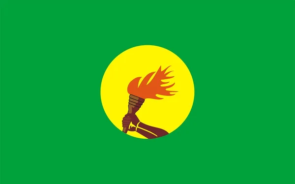 Vlag van Zaïre-congo — Stockfoto