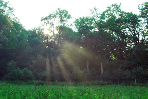 Stock image Beams Of Light