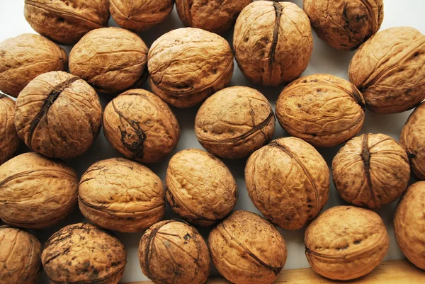 Орехи — стоковое фото