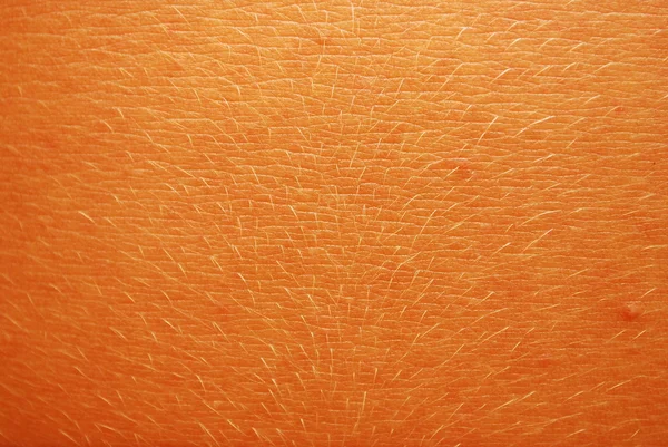 Skin Texture — Stock Photo, Image