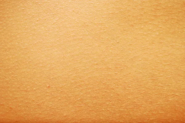 Skin Texture — Stock Photo, Image