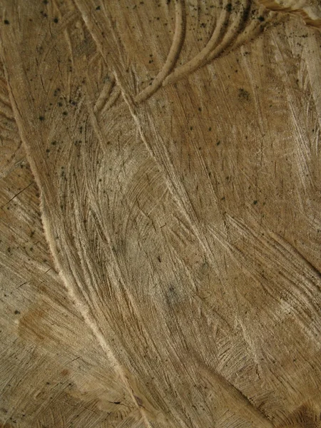 Текстуры дерева — стоковое фото
