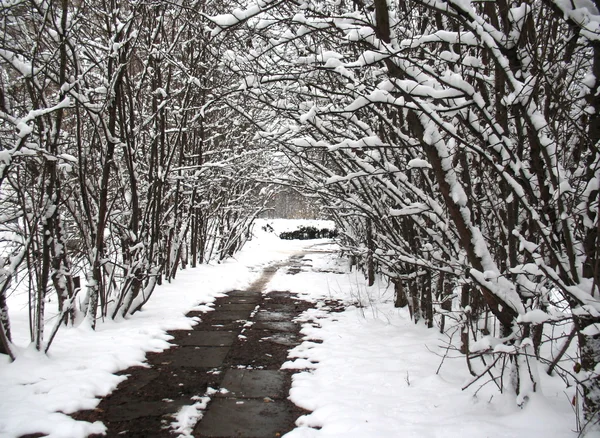 Beco coberto de neve — Fotografia de Stock