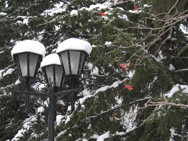 stock image Lamp, snow, trees