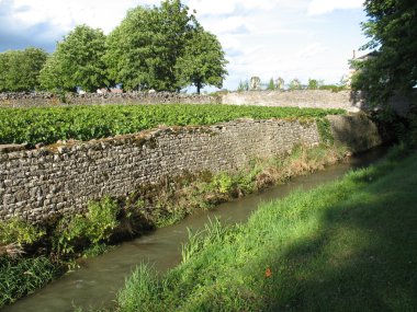 bağ ve kanal