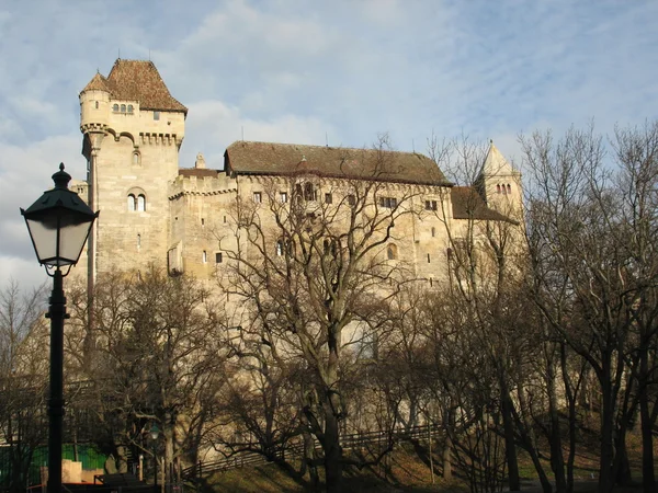 stock image Castle