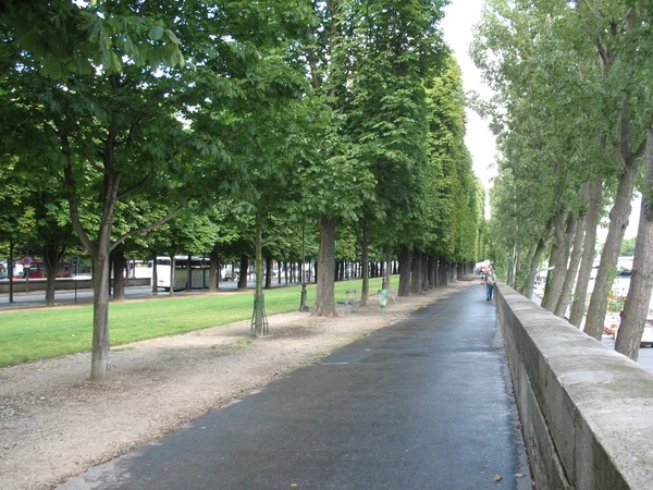 Road in a park — Stock Photo, Image
