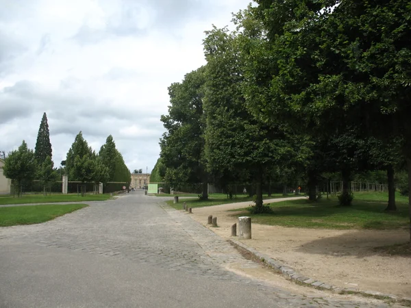 stock image Road in a park