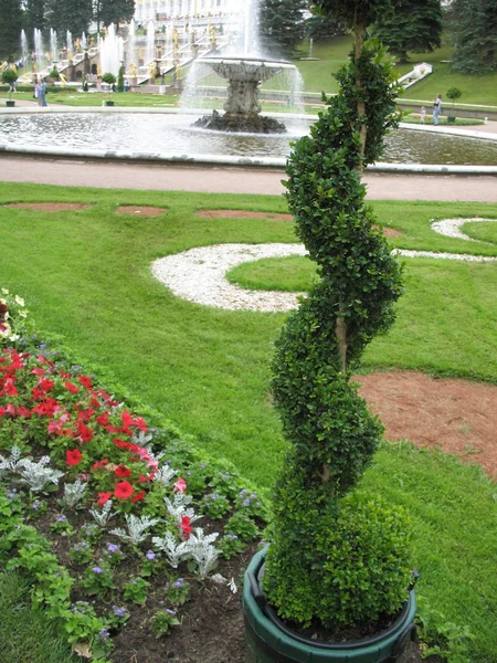 Декоративный газонный участок в парке — стоковое фото