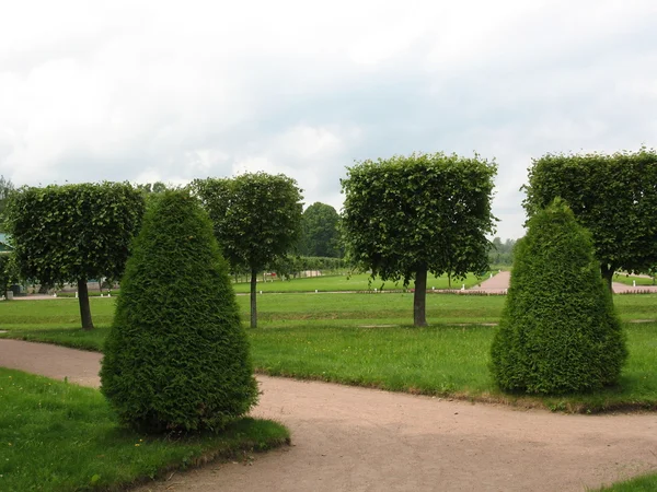 Parcelle d'herbe décorative et sentier dans le parc — Photo