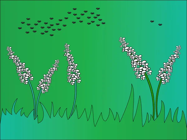Parcela de hierba — Vector de stock