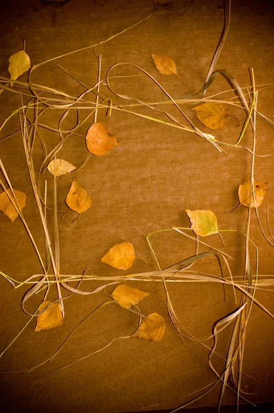 秋の背景 — ストック写真