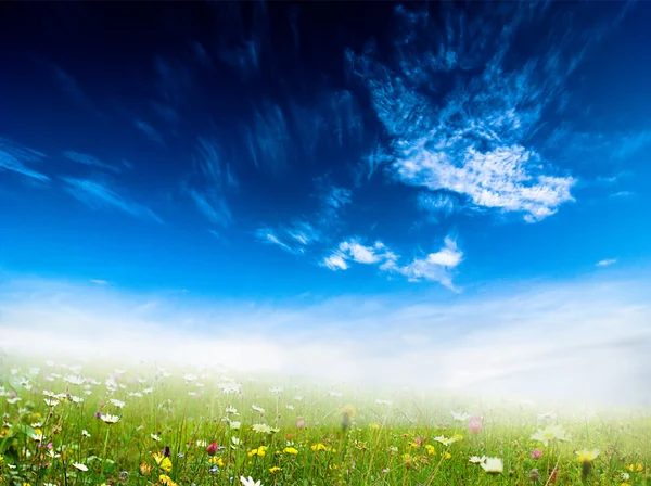Bewölkter Himmel und Gras — Stockfoto