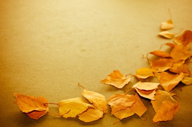 Autumn leaves clipart