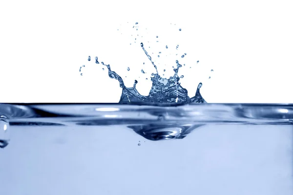 Isolerade vatten krona — Stockfoto