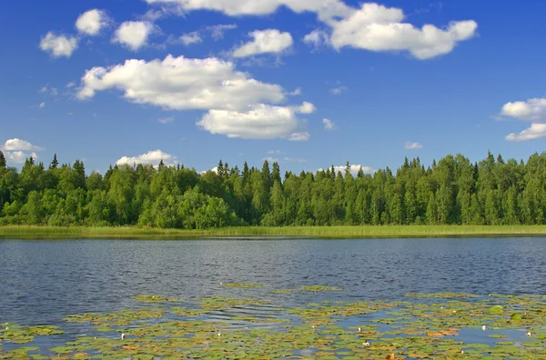 Vackra sjön — Stockfoto