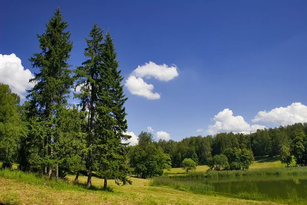 Krajobraz z drzewami i stawem — Zdjęcie stockowe