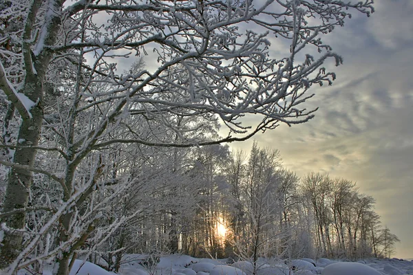 Neige hiver coucher de soleil — Photo
