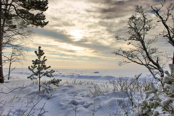 Zonsondergang in de koude winter — Stockfoto