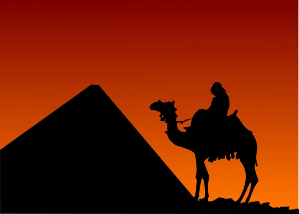 Hombre africano en camello — Vector de stock