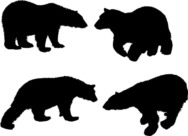 Medve sziluettek — Stock Vector