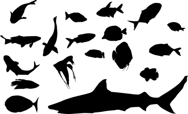 Different fish silhouettes — Stock Vector