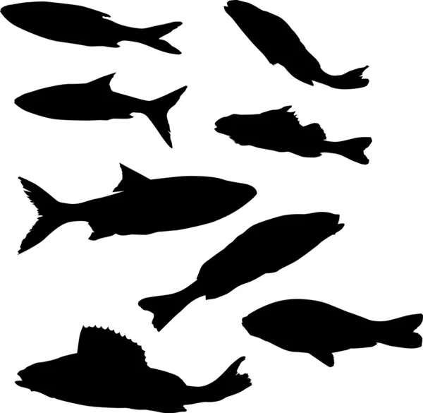 Eight fish silhouettes — Stock Vector