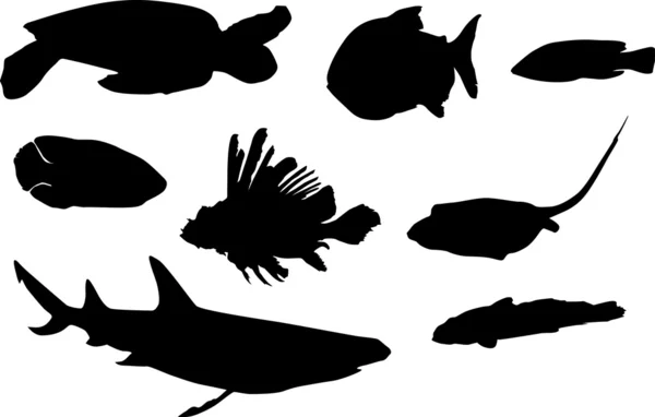 Turtle and fish silhouettes — Stock Vector