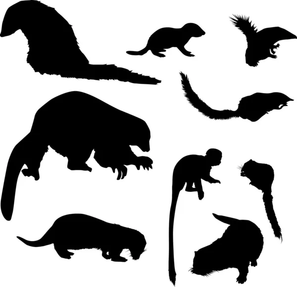 Små djur silhuetter samling — Stock vektor