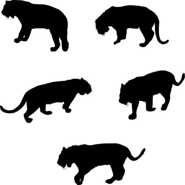 Cinco siluetas de tigre — Archivo Imágenes Vectoriales