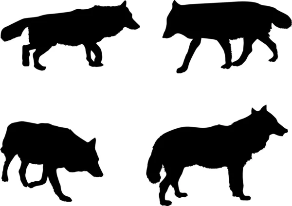 Cztery sylwetki wilk — Wektor stockowy