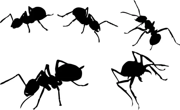 Ant silhouettes set — Stock Vector