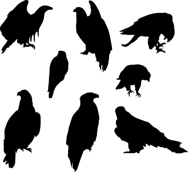 Åtta eagle silhuetter — Stock vektor