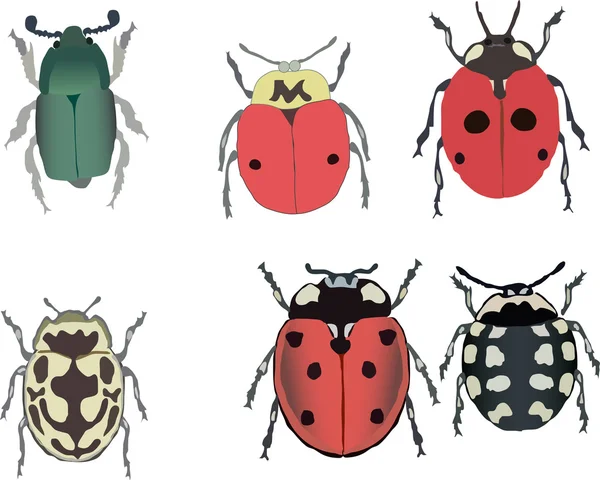 Ladybugs collection — Stock Vector