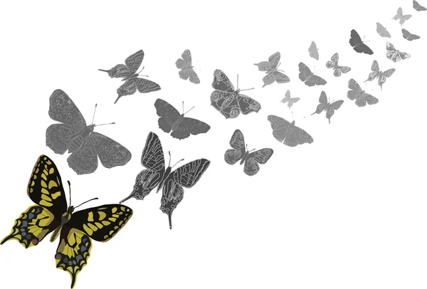 Motyle latające — Wektor stockowy