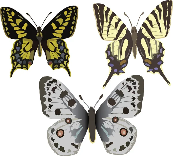 Drie vlinders — Stockvector